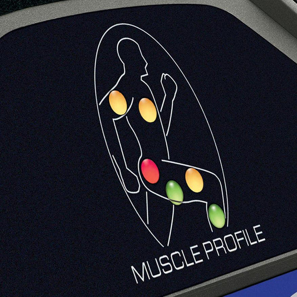 |Spirit XE395 LC Incline Elliptical Trainer Muscle Profile|